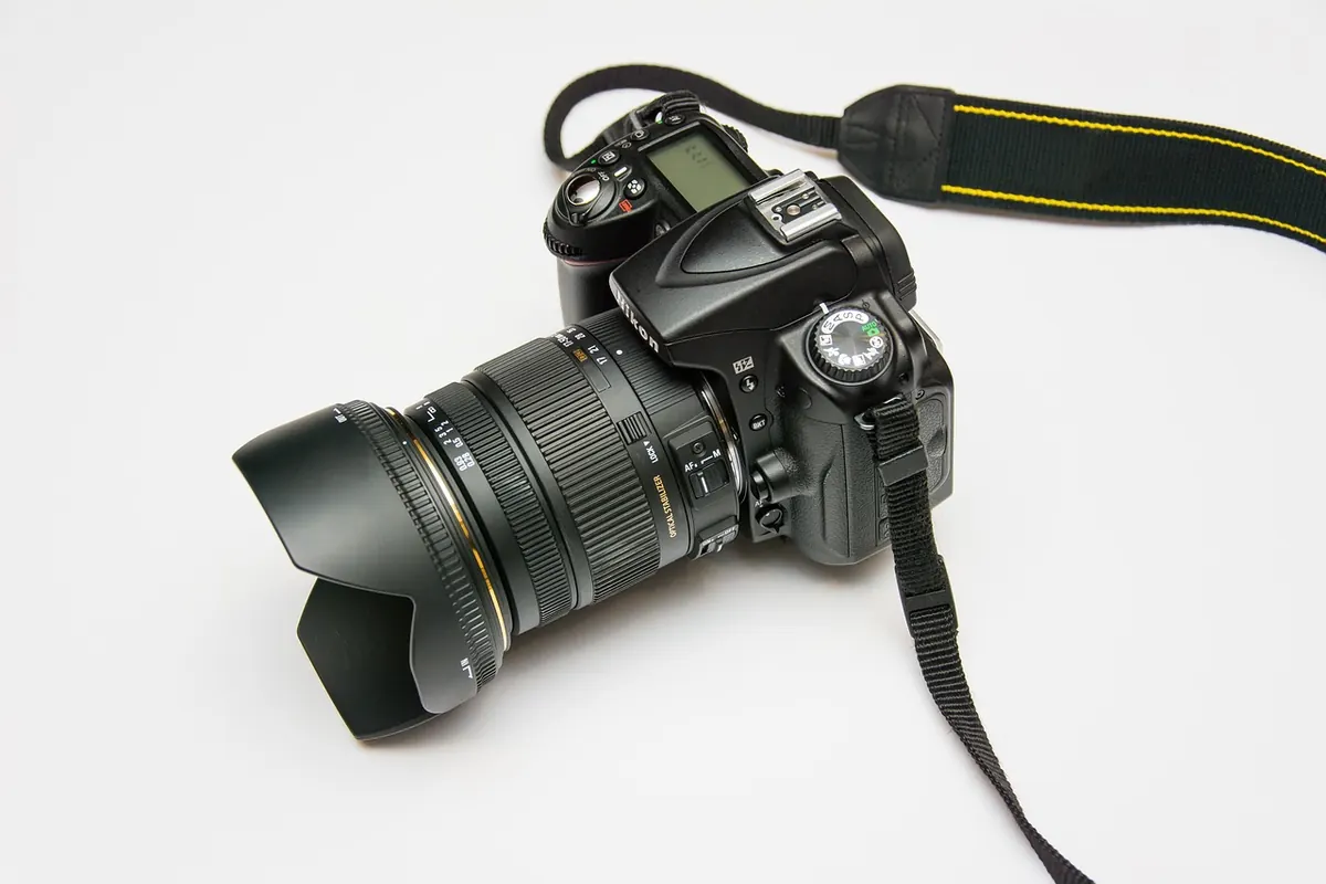 Five Common Bird Photography Mistakes—and How to Fix Them